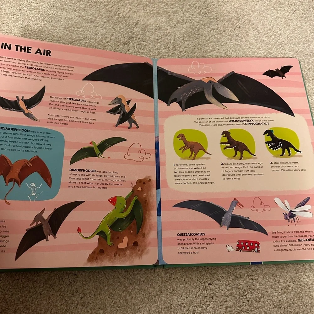 My Journey of Discovery Dinosaurs Book - Green and Orange